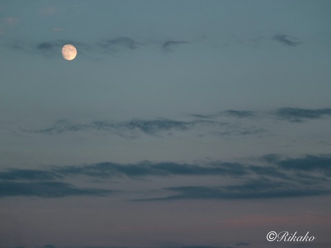 2025/07/08 夕方の月 ①
