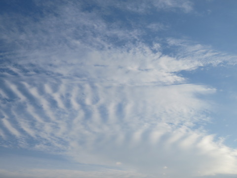 午後の空