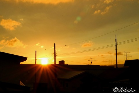 2024/08/29　夕　景　①