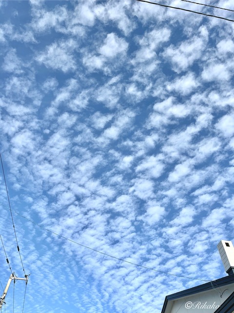 2025/08/31　うろこ雲　②