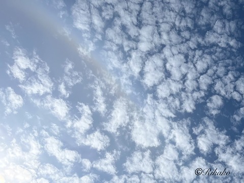 2026/07/05　うろこ雲と彩雲　②