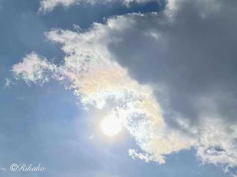 2026/01/14　彩　雲　③