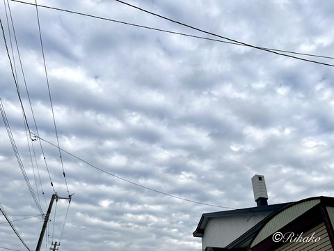 2026/05/18　夕方の空　②