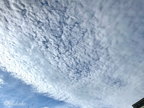 2024/09/05 朝の空 ②