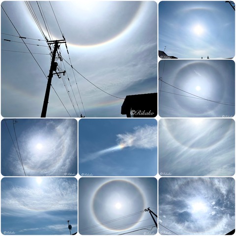 2026/07/07　上半期 ハロ BEST 9