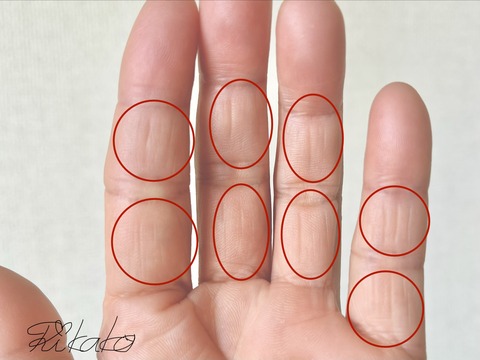 2026/04/09　俵　紋　②