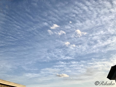 2022/11/28　夕方の空