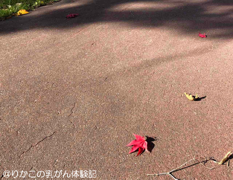 2019/10/16 がんサロン ②