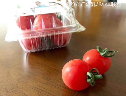 2019/08/30　ミニトマト