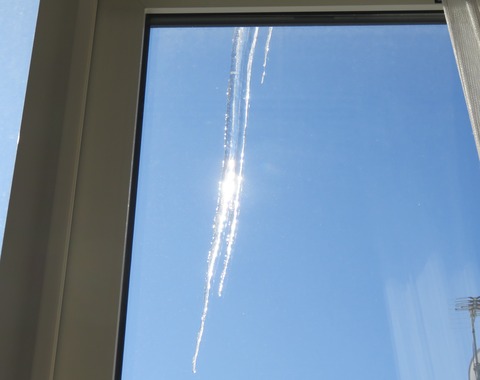 冷え込んだ朝　② tori