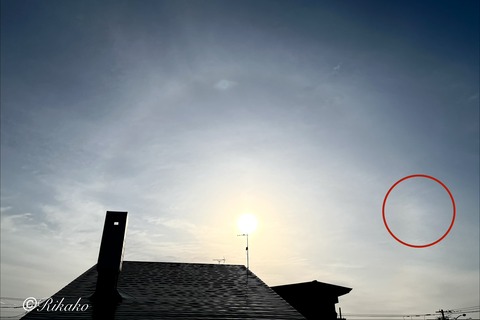 2026/04/09　ハ　ロ　②