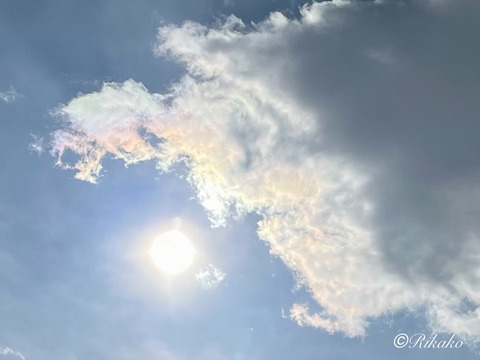 2026/01/14　彩　雲　②