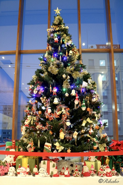 2025/12/17　クリスマスツリー　①