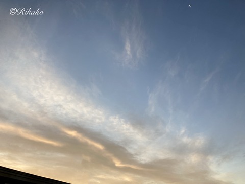 2021/11/29　朝の空　④