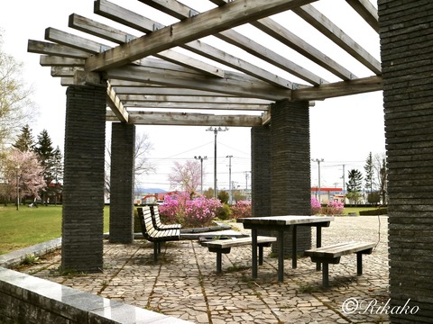 2023/04/30　公　園　①