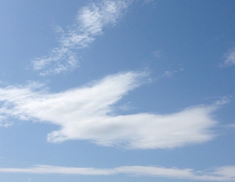 朝　②
