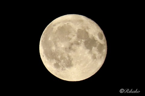 2026/07/01　昨夜の満月