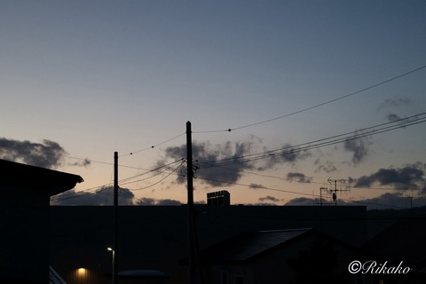 2026/01/12 夕暮れ ①