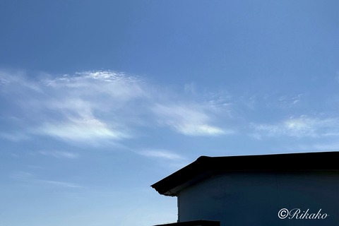 2026/07/05　彩　雲　②