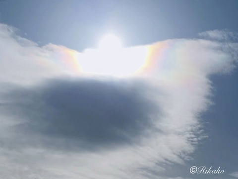 2026/02/21　彩　雲　②
