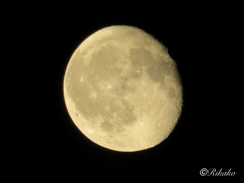 2025/07/14　昨夜の月