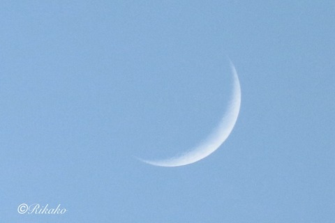 2026/01/22　三日月　①