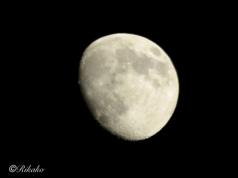 2025/12/31　今年最後の月　②