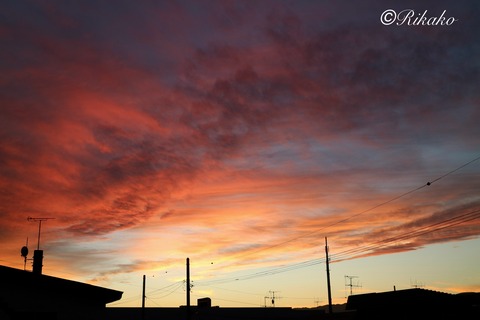 2024/09/06　夕焼け　①
