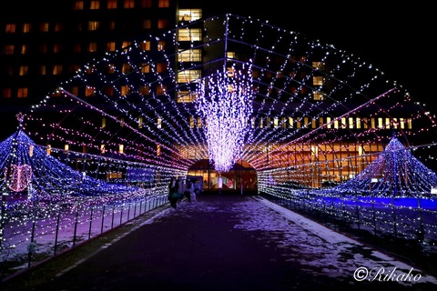 2024/12/18　イルミネーション　④