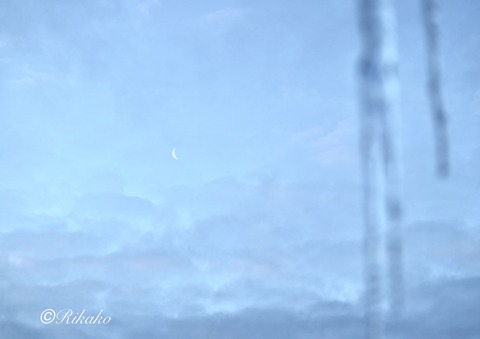 2022/01/28　朝　⑤
