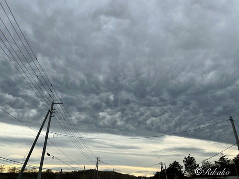 2026/05/05 空