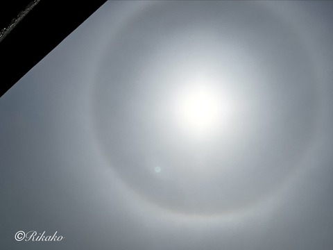 202604/27 ハ ロ