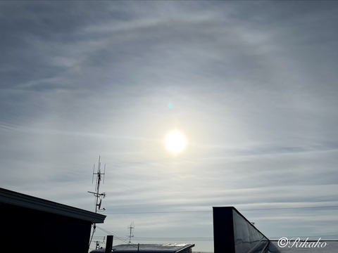 2026/01/16　ハ　ロ