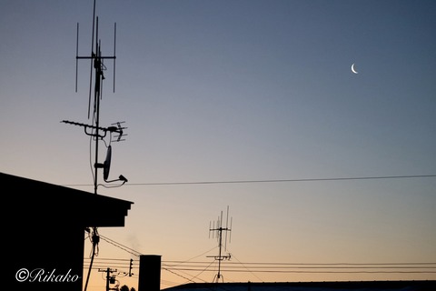 202601/15　朝の月　③