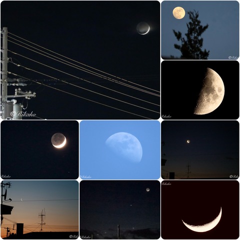 2026/07/07　上半期 月 BEST 9　②