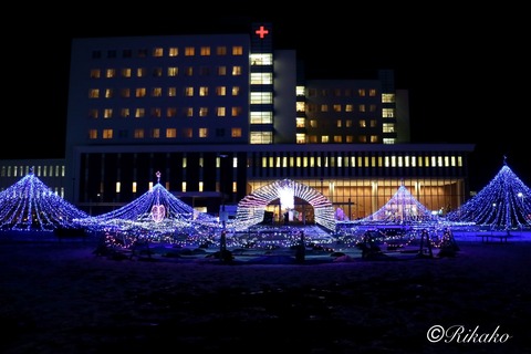 2024/12/18　イルミネーション　⑪