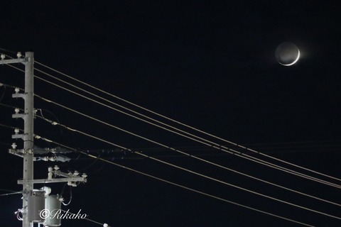 2026/01/21　三日月　①