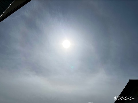 2025/08/28　ハ　ロ