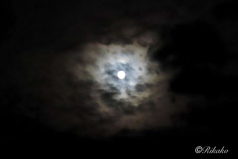 2026/05/30　月