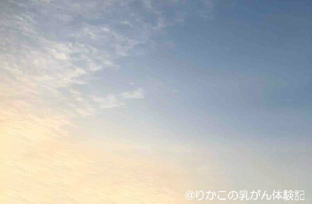 2020/02/13 朝