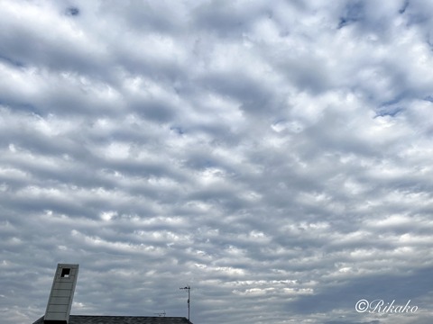 2026/05/18　夕方の空　①