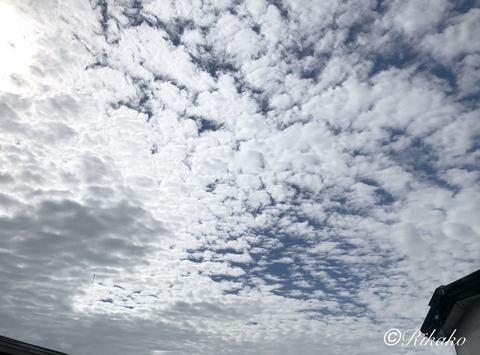 2021/08/26　ワクチン接種2日目　①