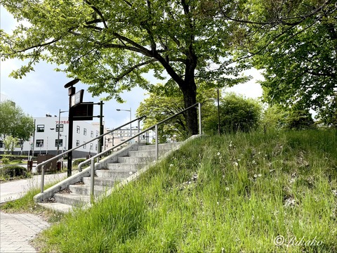 2026/05/20　がんサロン　①
