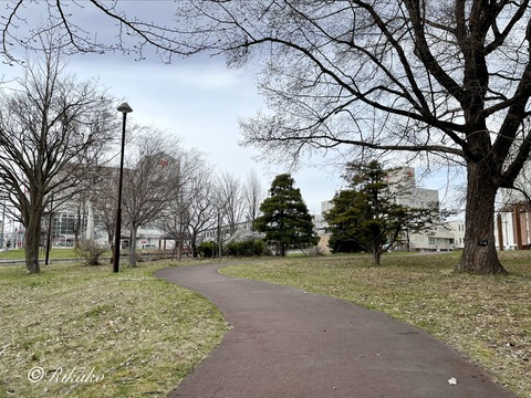2026/04/15 がんサロン ②