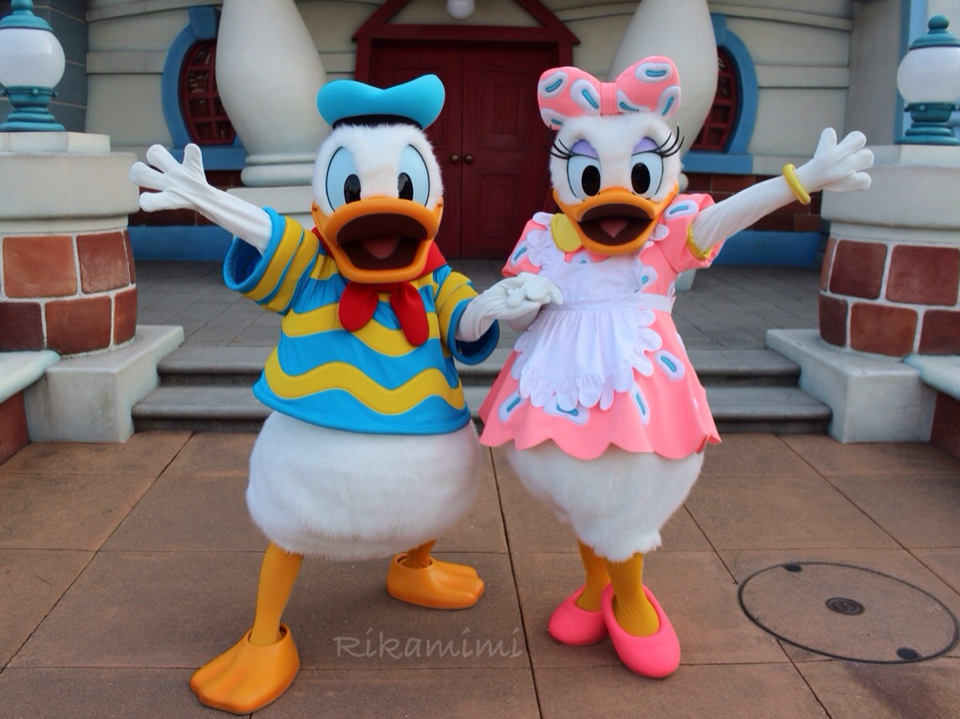 ドナデジたん整列 Disneyalbum Rikamimi