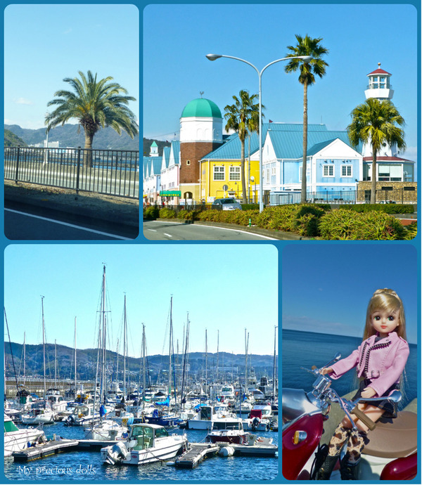 collageizu4