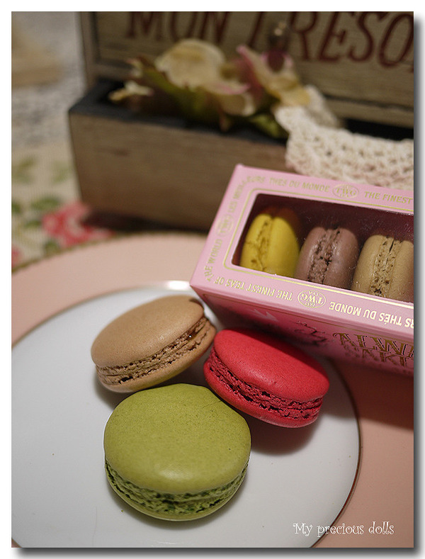 macaron