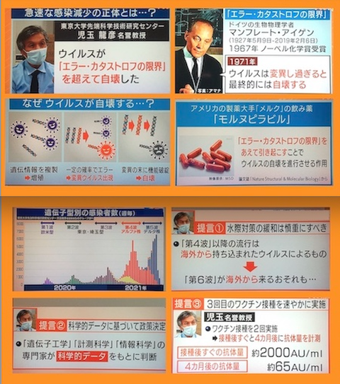 児玉龍彦名誉教授　ウイルスの自壊aa