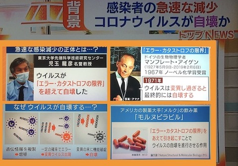 児玉龍彦名誉教授　ウイルスの自壊00