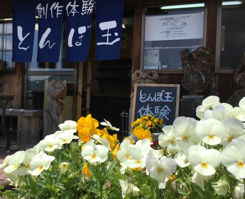 写真 2018-05-06 11 06 55